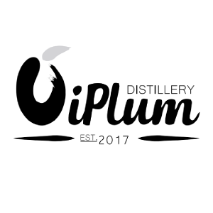 iPlum Company